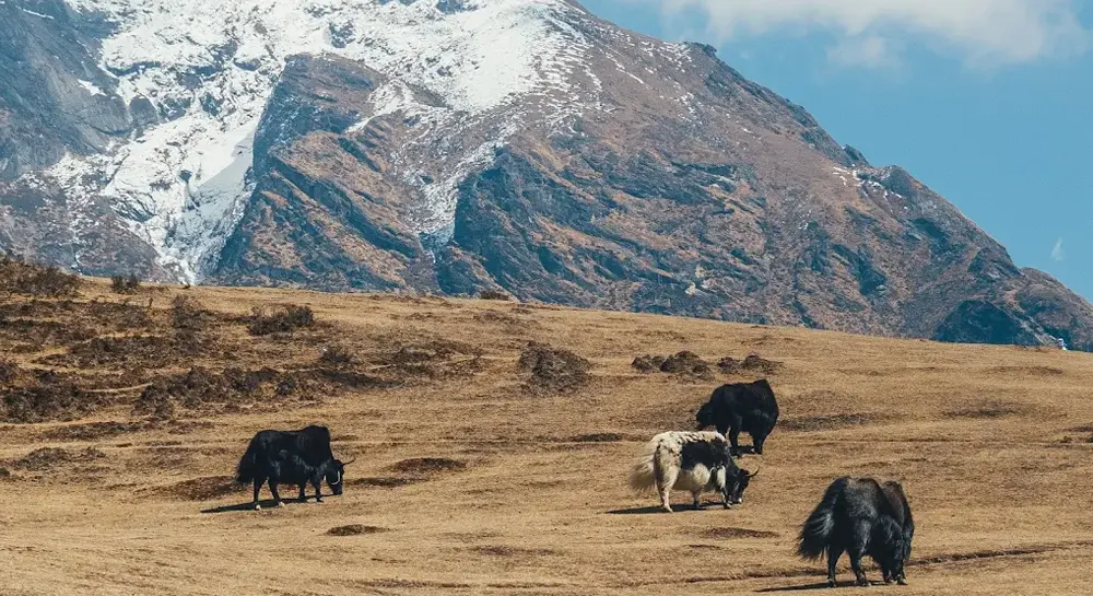 EVEREST TREKKING TRAIL